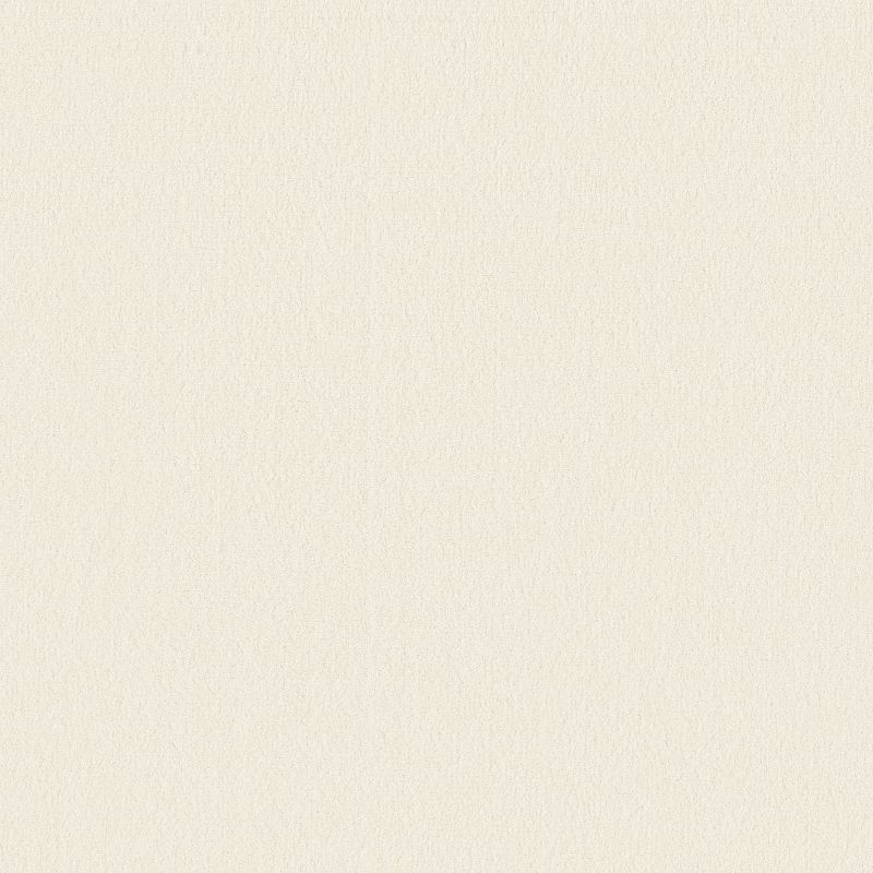 Perfect Choice Broadloom Carpet in Soft Chamois color, 100% Nylon material, 12ft width, plush cut pile construction.