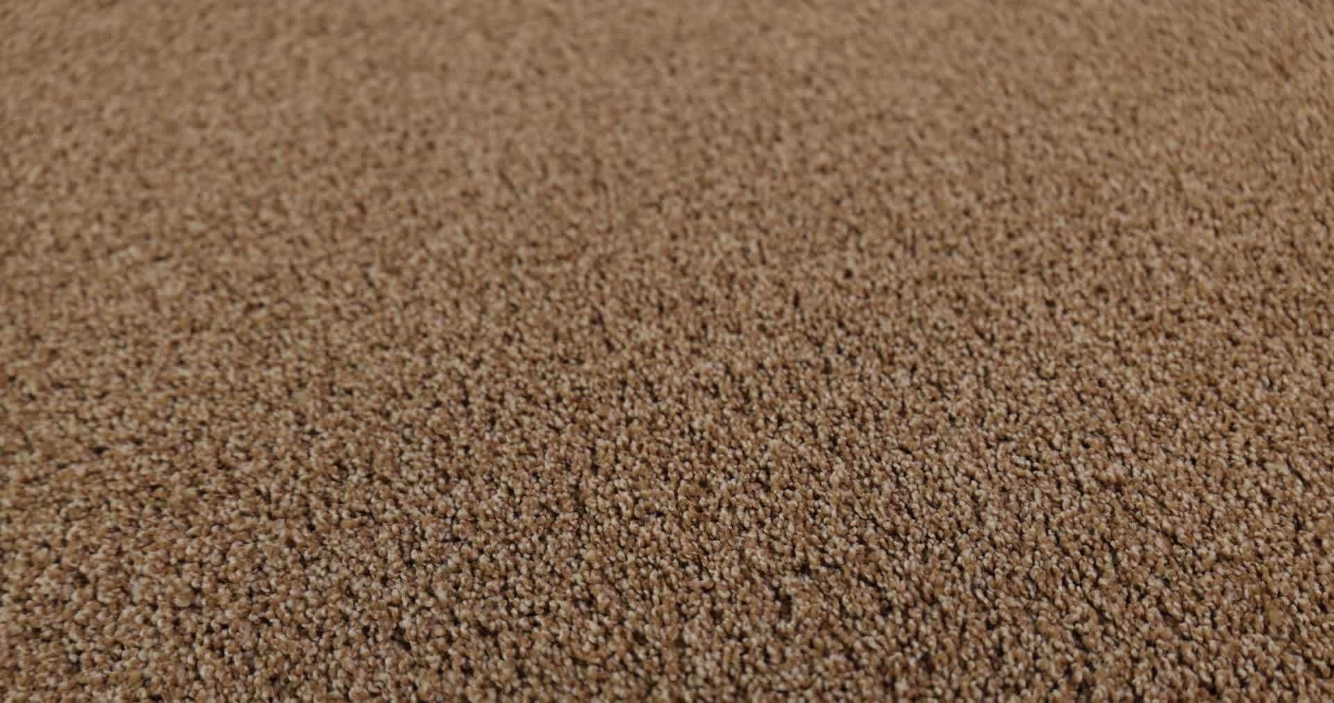 ACADIA PARK SADDLE 360PROD