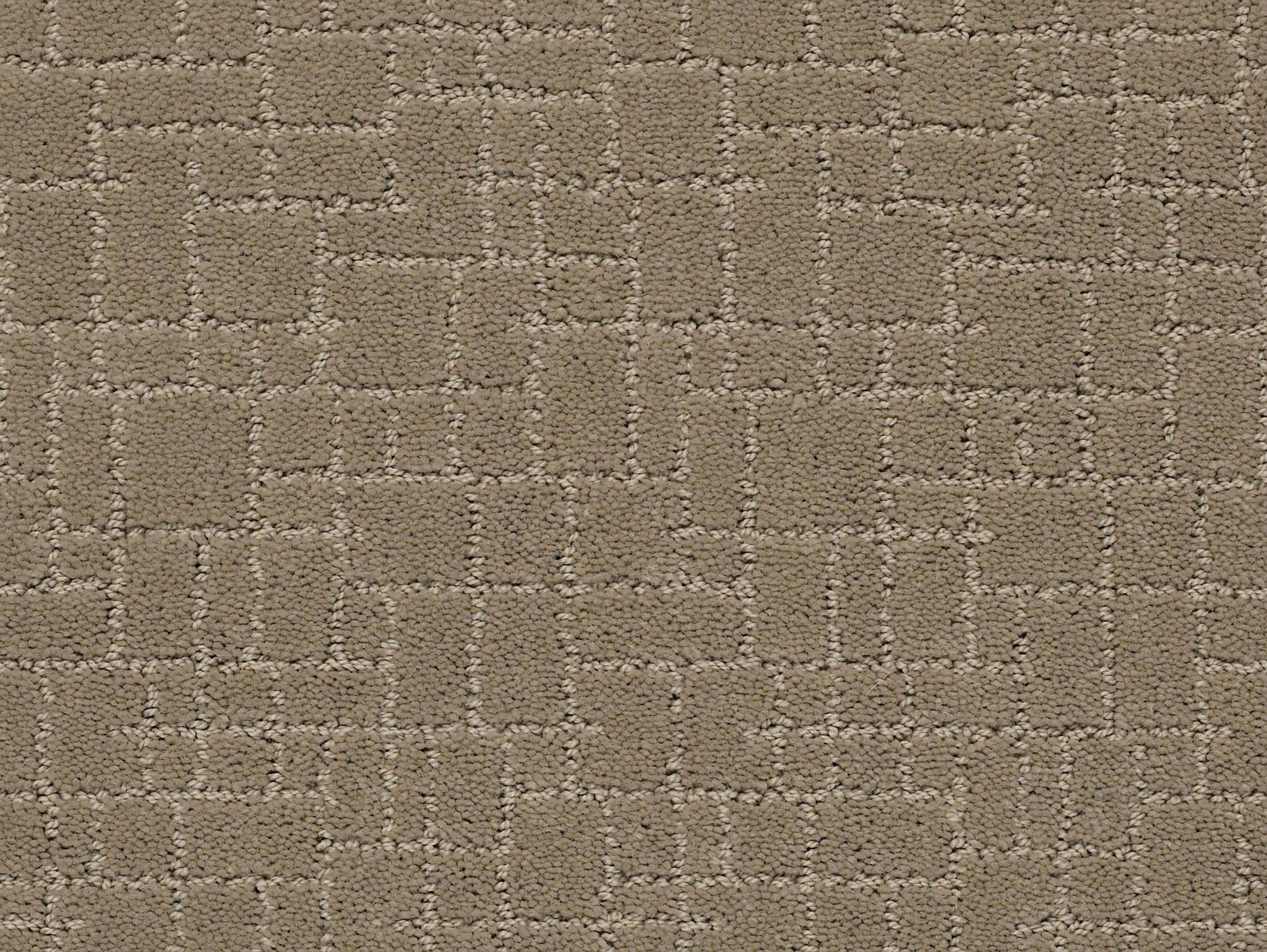 FAUX PAW DRIFTWOOD MAIN