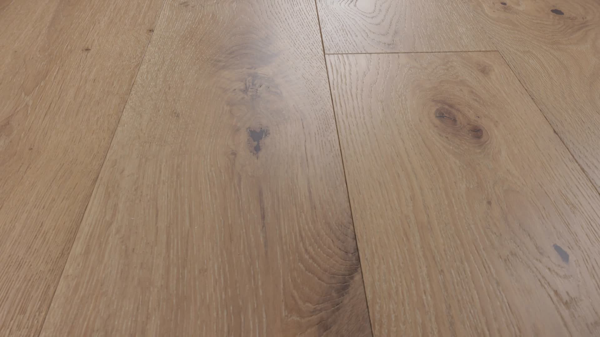 EXPRESSIONS ALLA PRIMA 360PROD