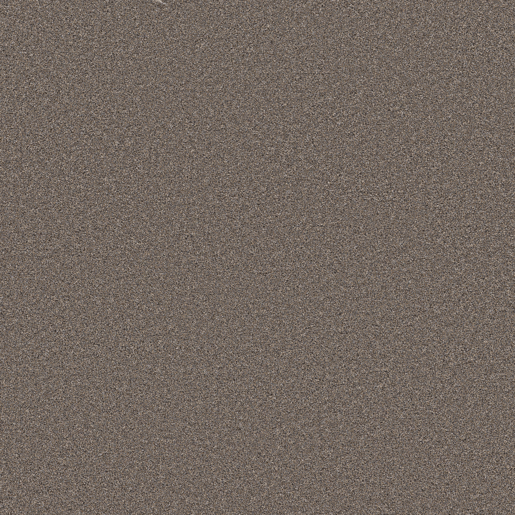 WONDERLAND III 12' SMOKED TAN MAIN