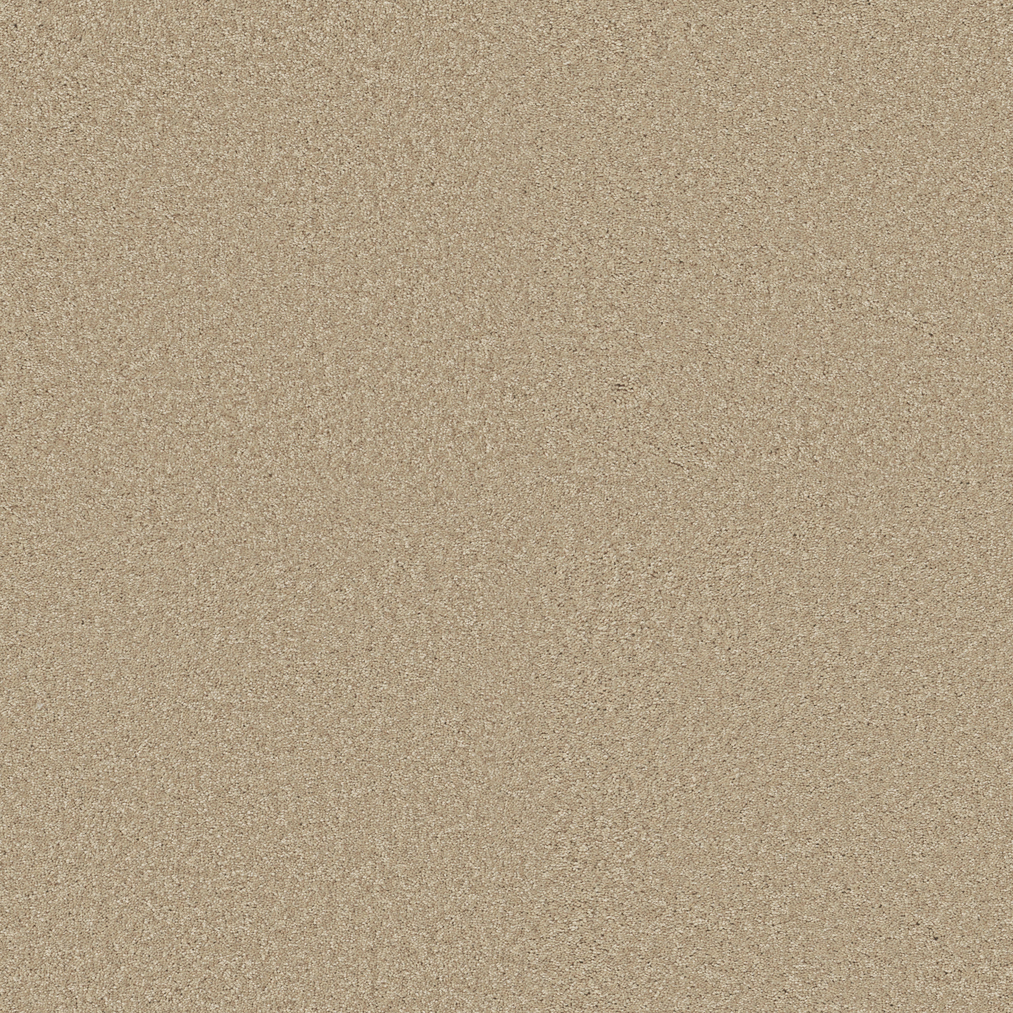 TURN THE PAGE II 15' AGATE MAIN