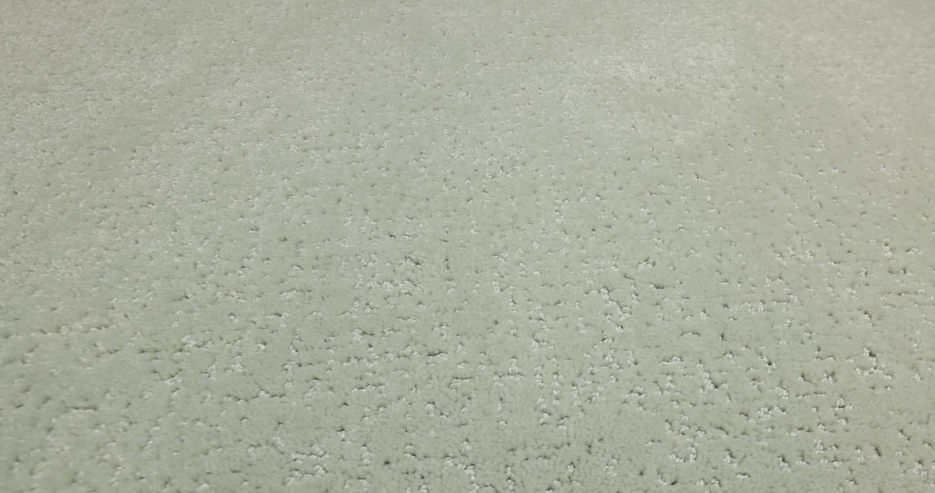 CANVAS COMFORT WILLOW TREE 360PROD