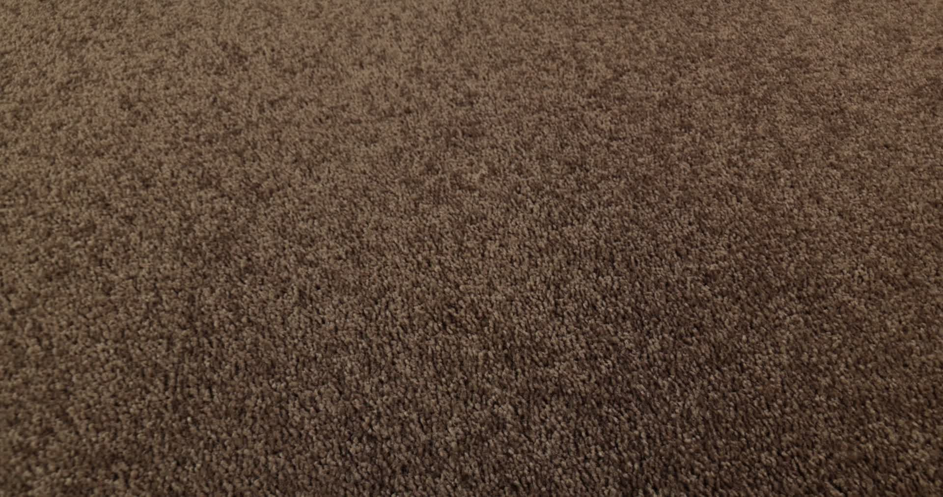 CHALLENGE ACCEPTED I 12' BRIAR PATCH 360PROD