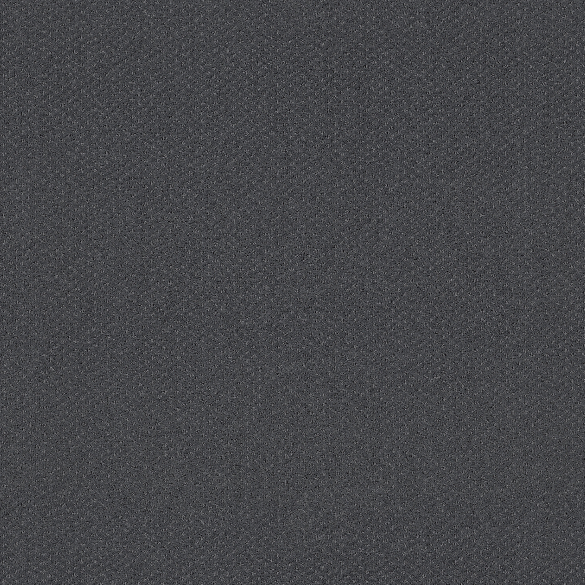 AUSTIN PARK NIGHT FLIGHT MAIN