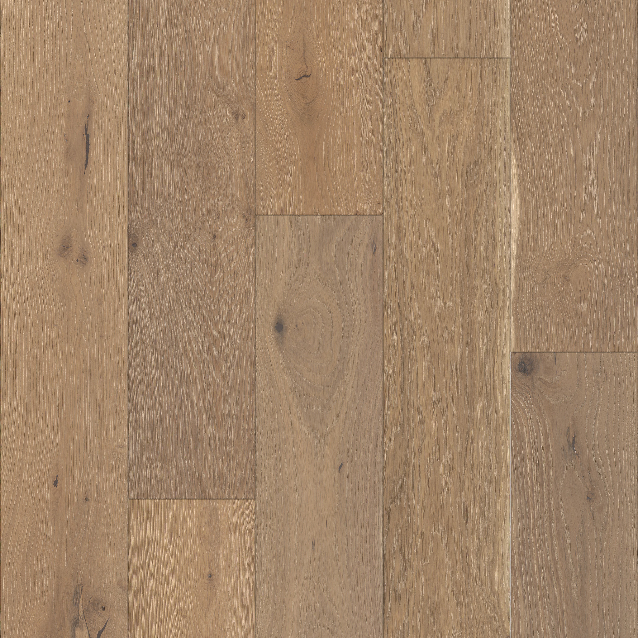 EXPRESSIONS ALLA PRIMA MAIN