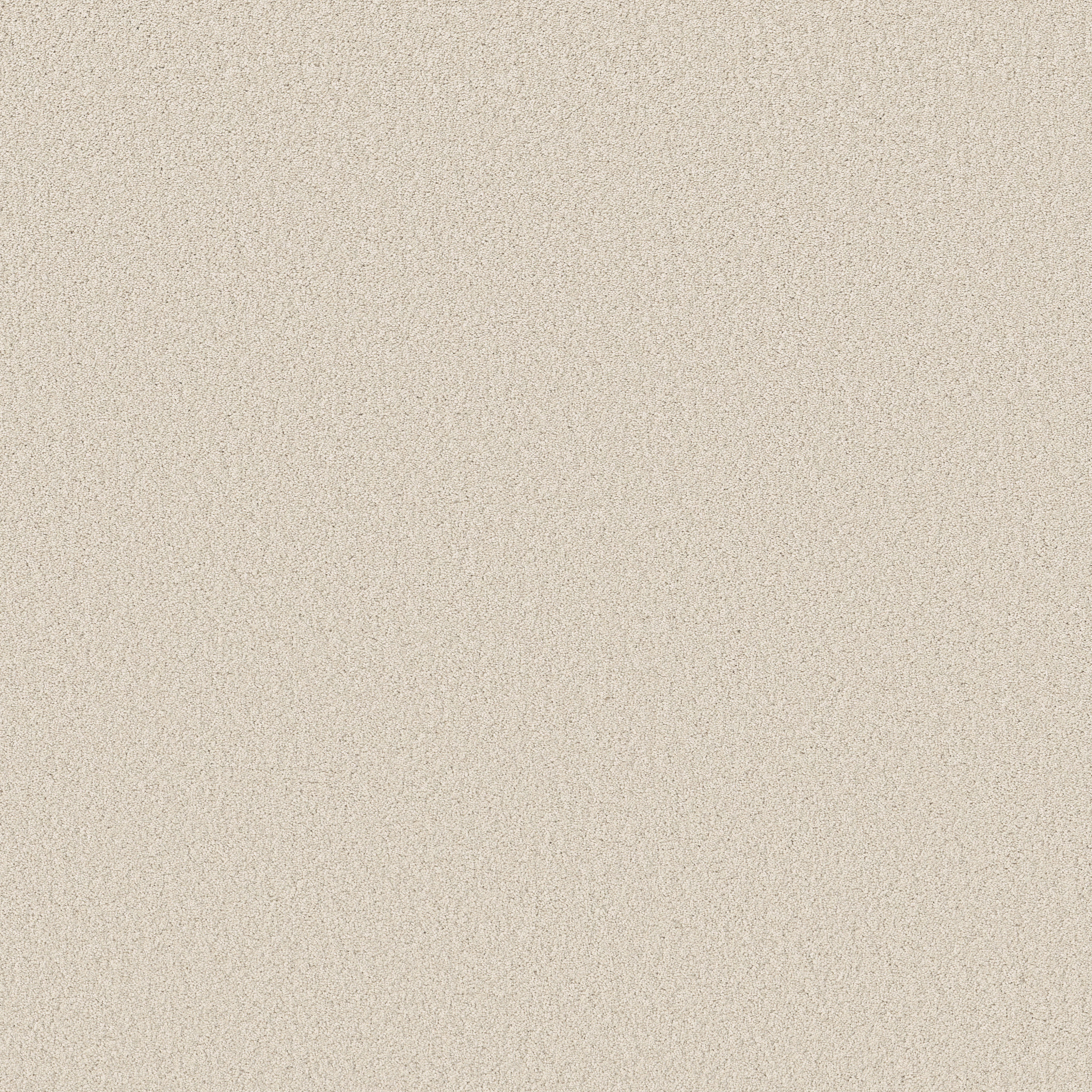 VELVET TOUCH I NATURAL MAIN