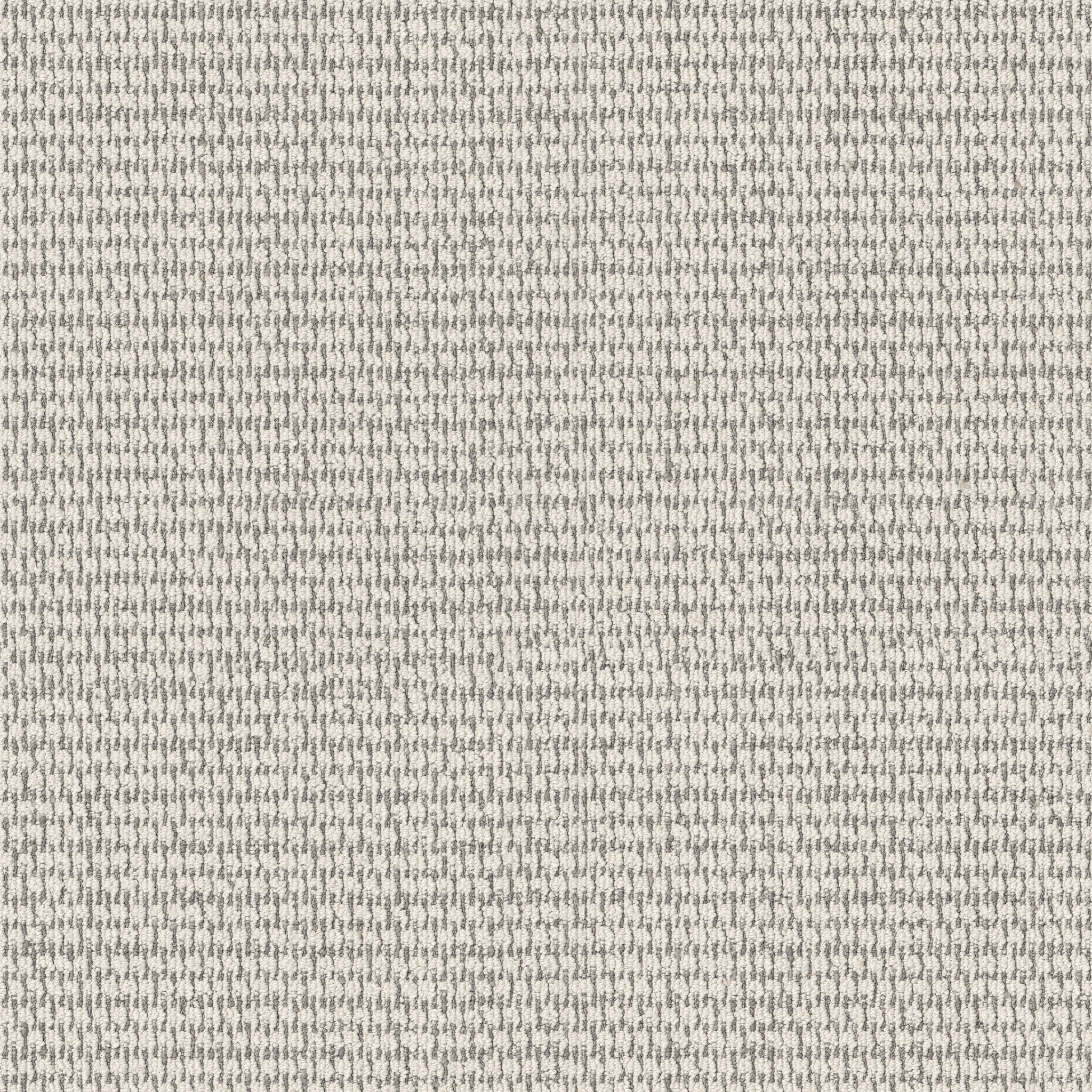 COZY EMBRACE CREAMY MAIN