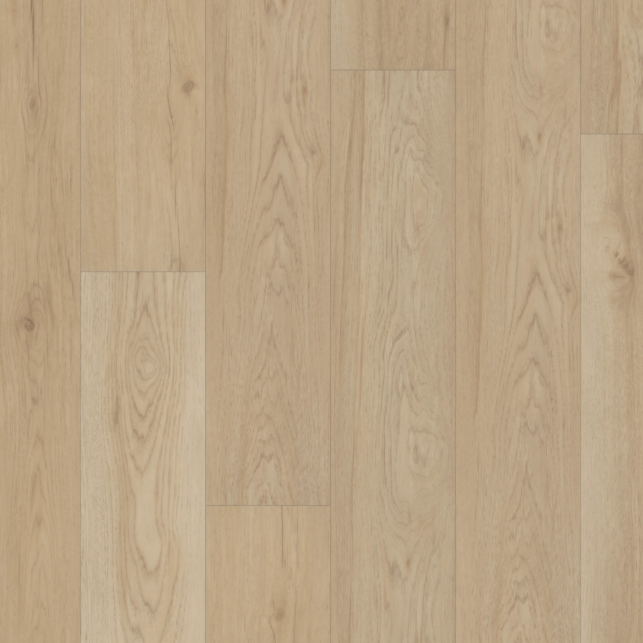 IGNITE ASHEN SAND MAIN