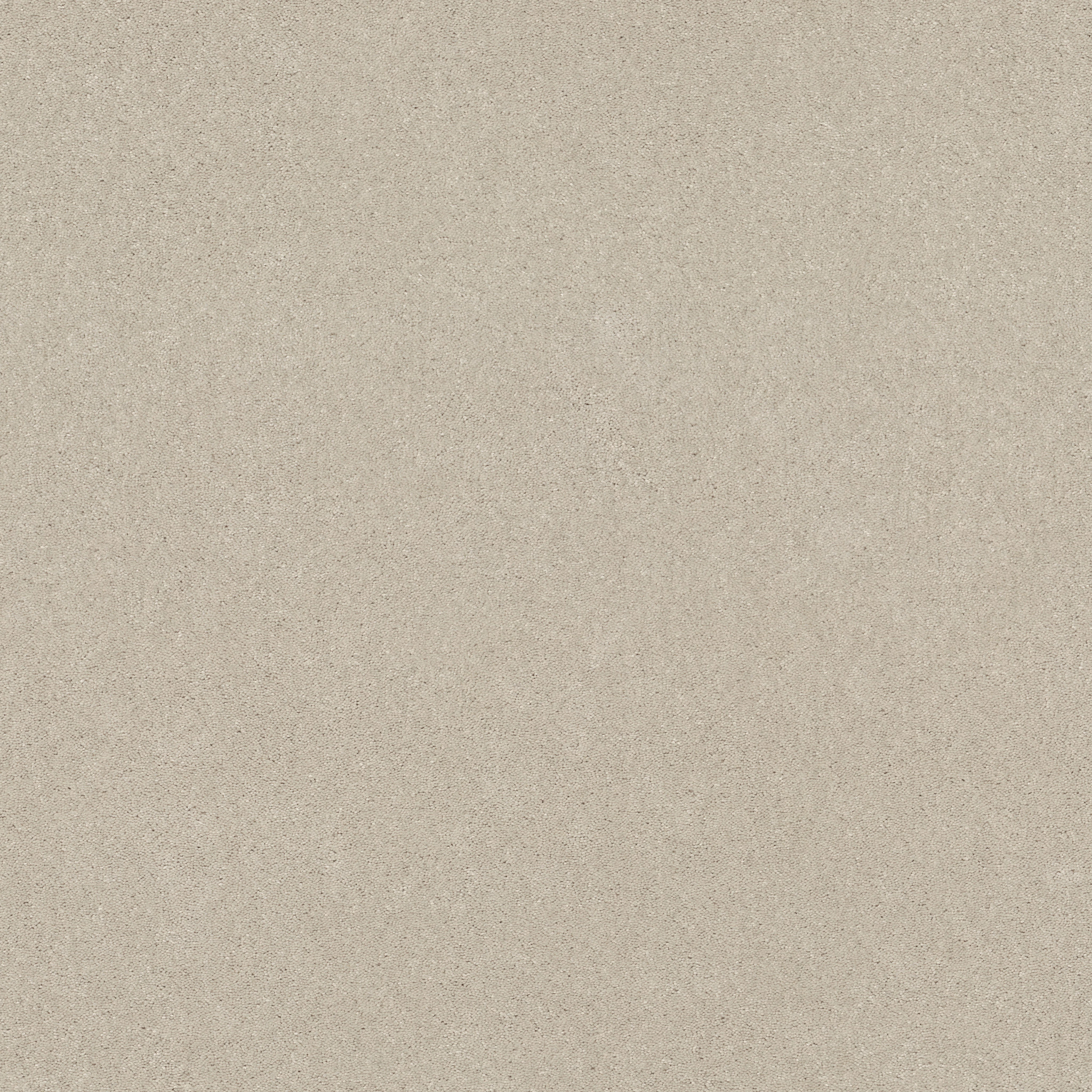 CHALLENGE ACCEPTED II 15' CREAMY TINT MAIN