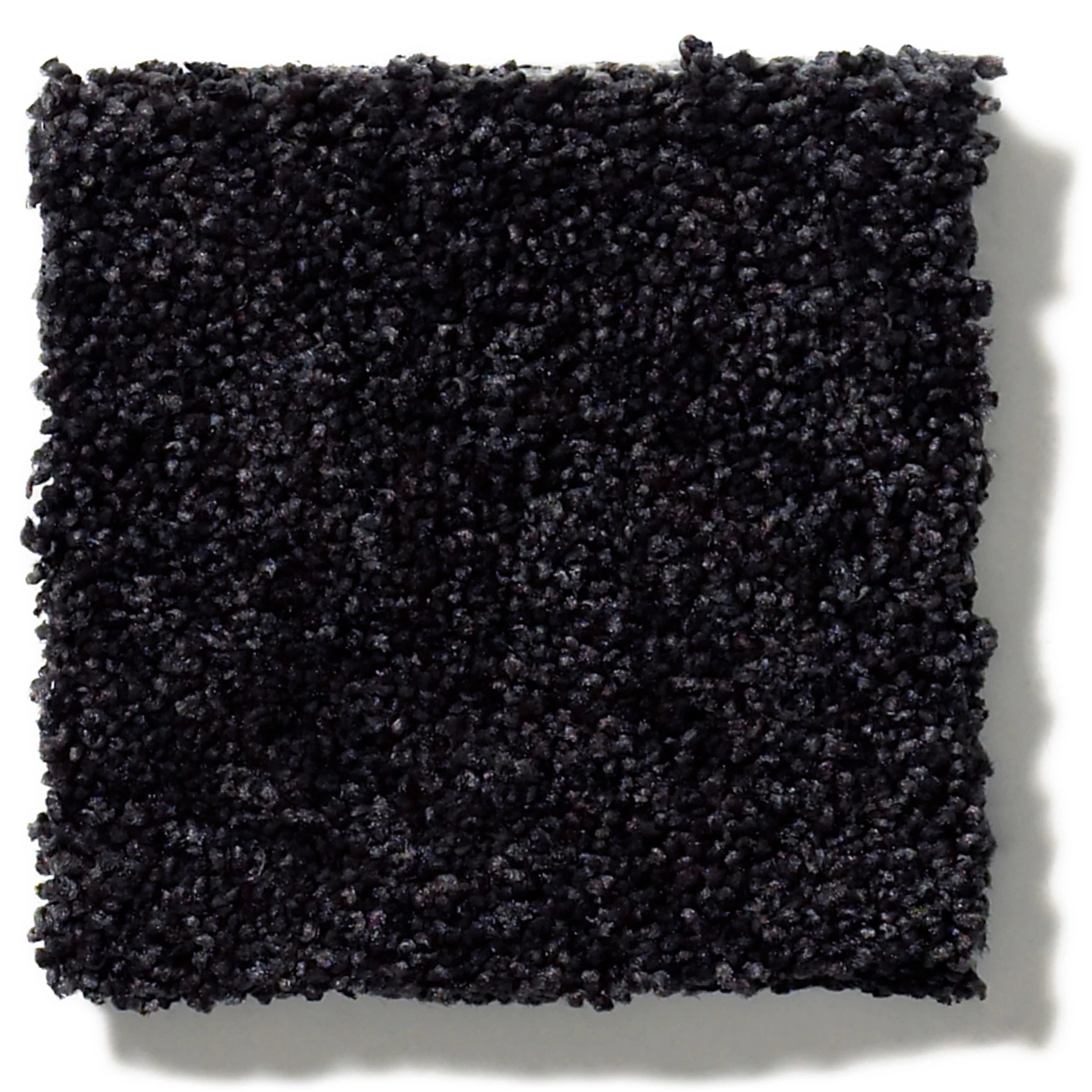 YOUR COMFORT I MOVIE NIGHT SWATCH