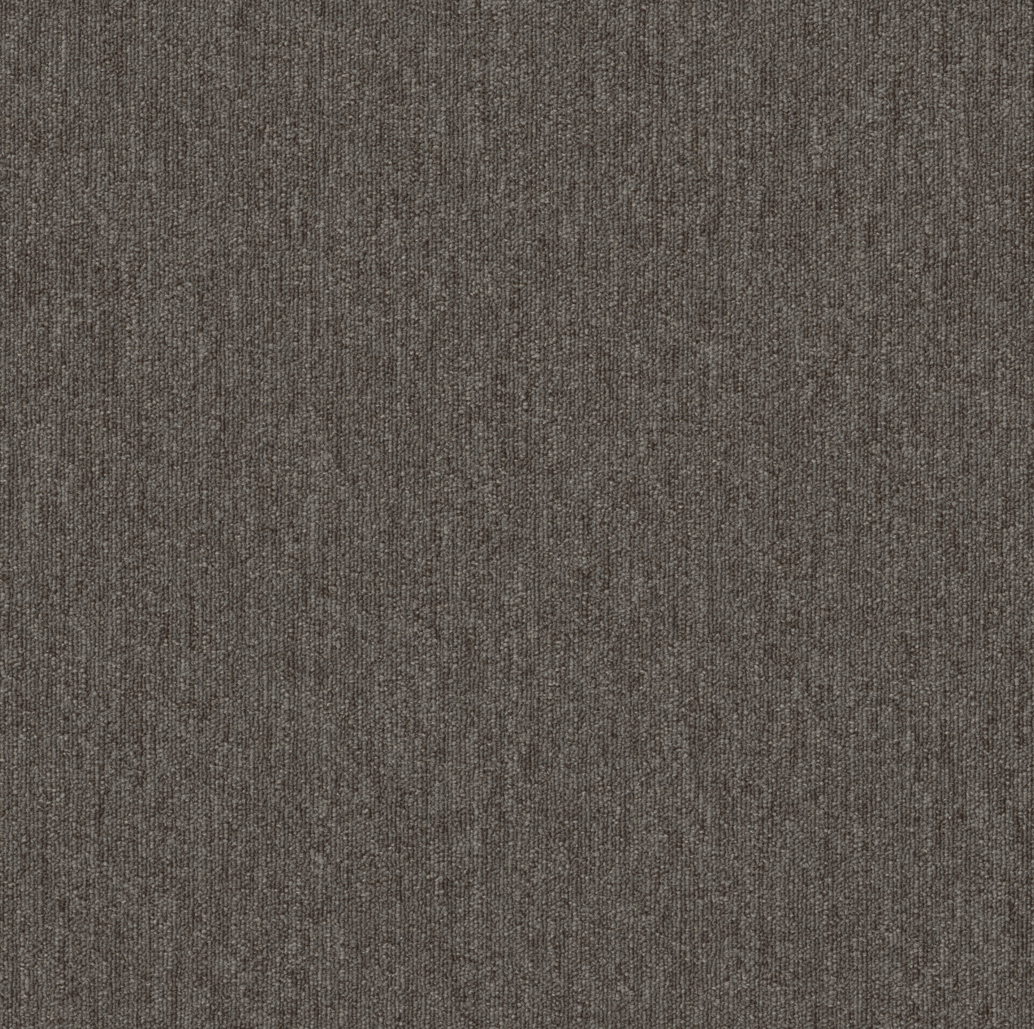 PROFUSION-54934-PILES-00702-main-image