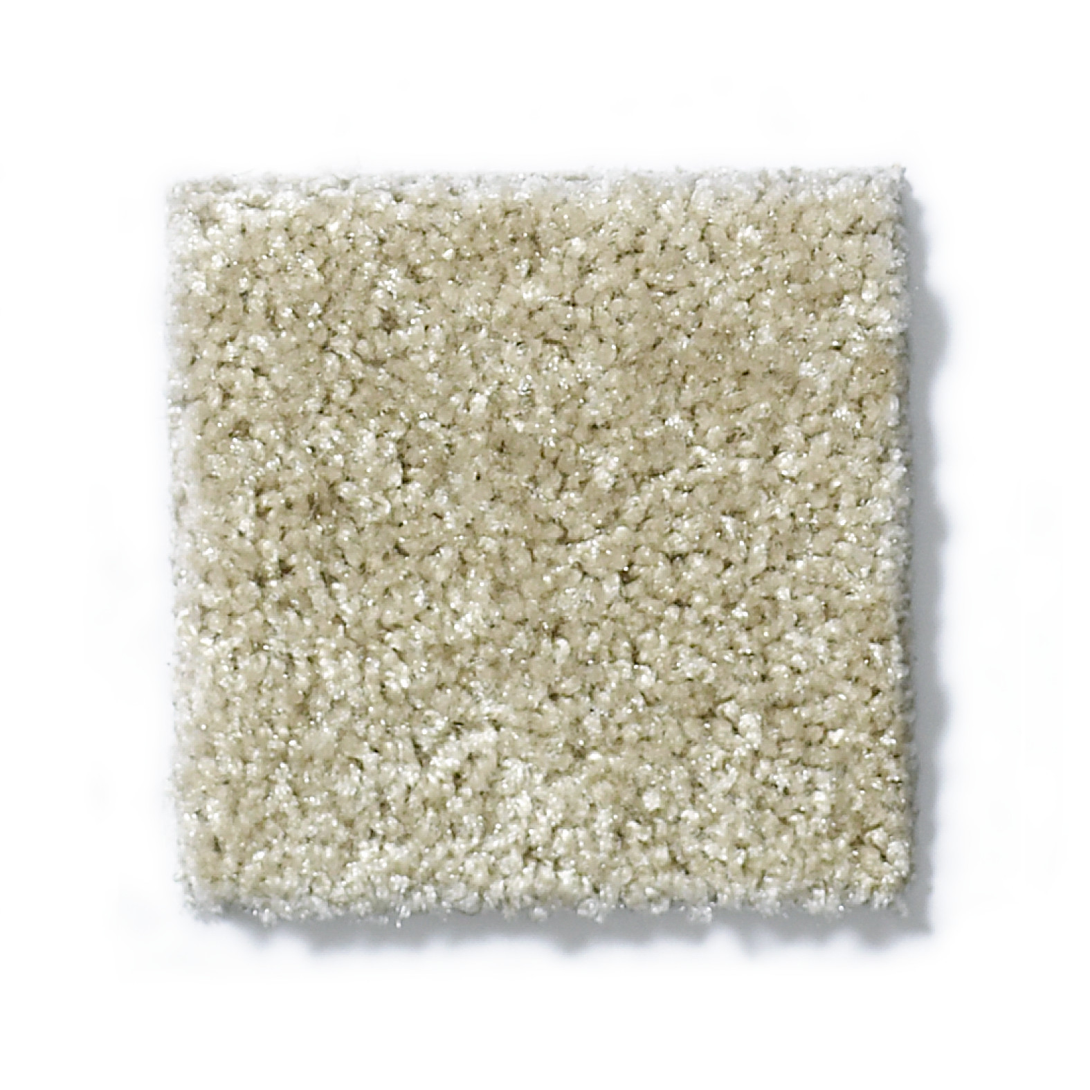 VICTORY ADONIS SWATCH