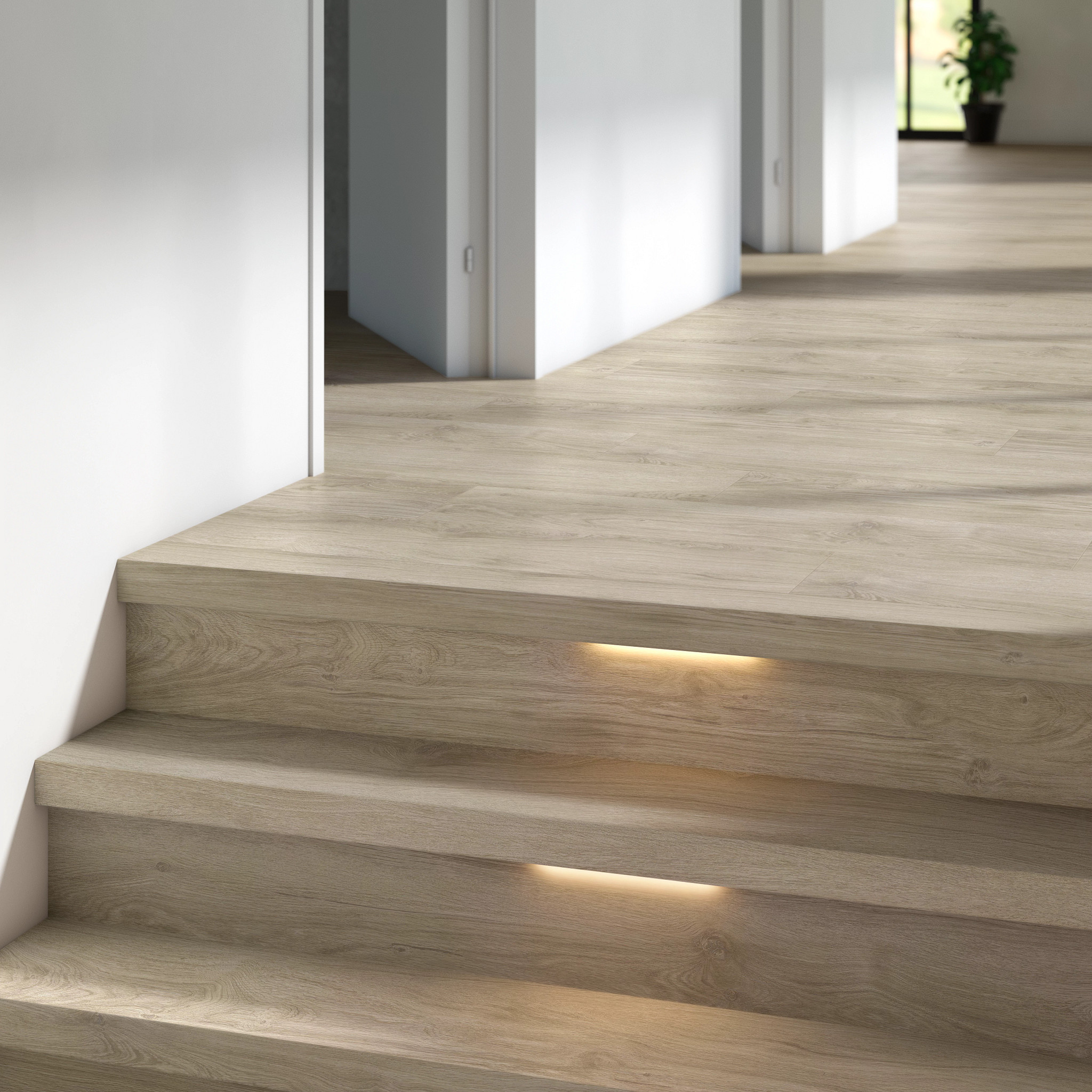 TIMBER StaticImage01