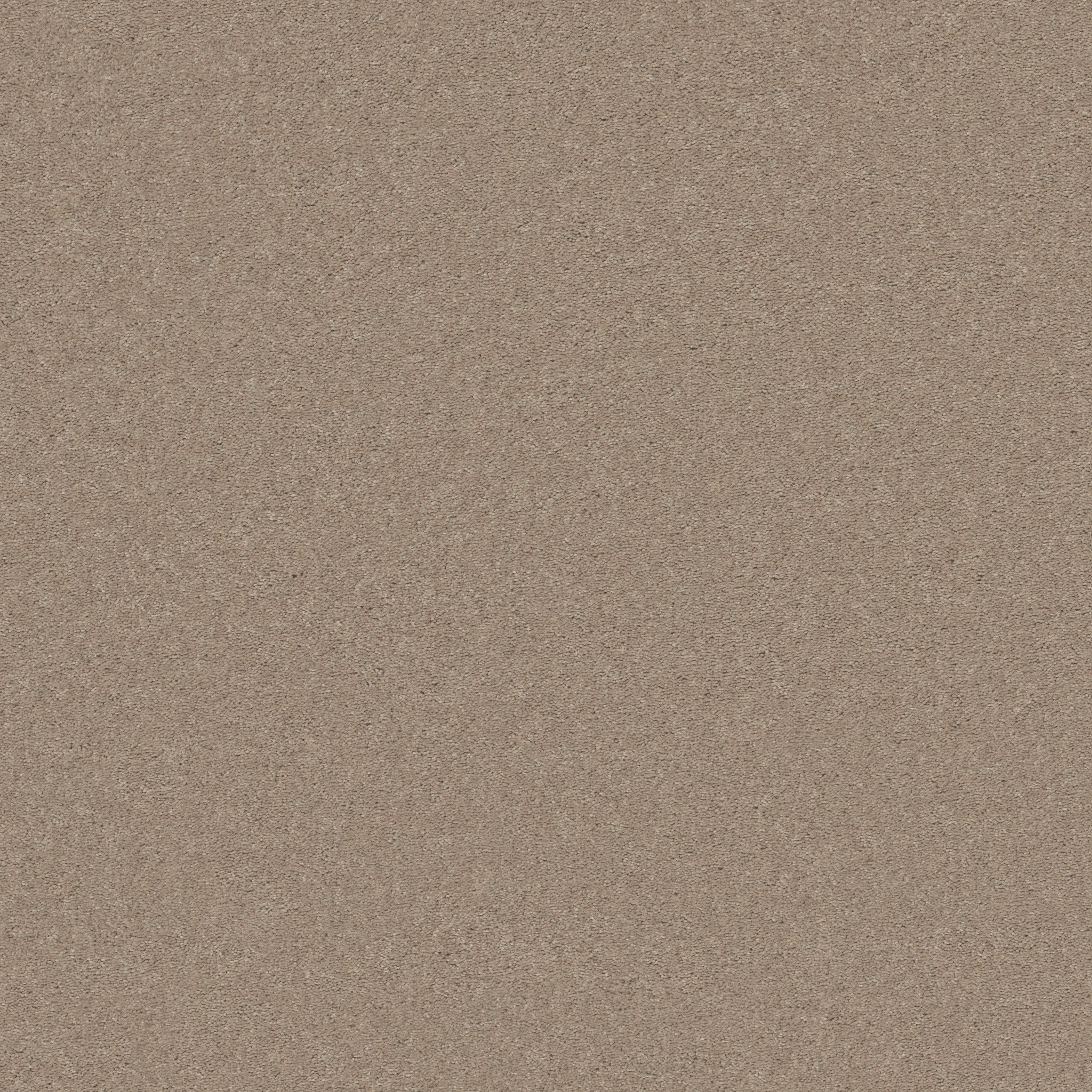 BEAUTIFULLY SIMPLE I 15' SANDY NOOK MAIN