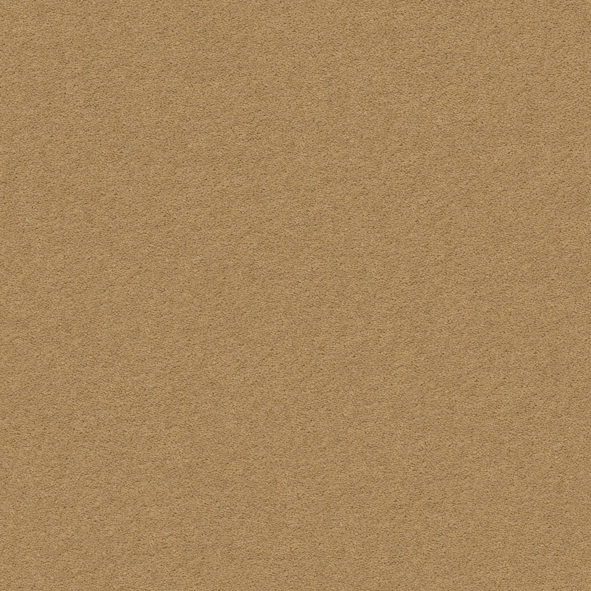 PERFECT CHOICE BARLEY MAIN