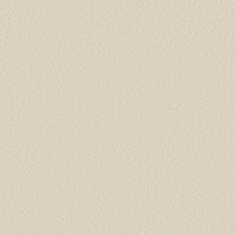 Elegant Beauty Broadloom Carpet in Aloe Wash, textured cut pile, 12ft wide, made of 100% nylon