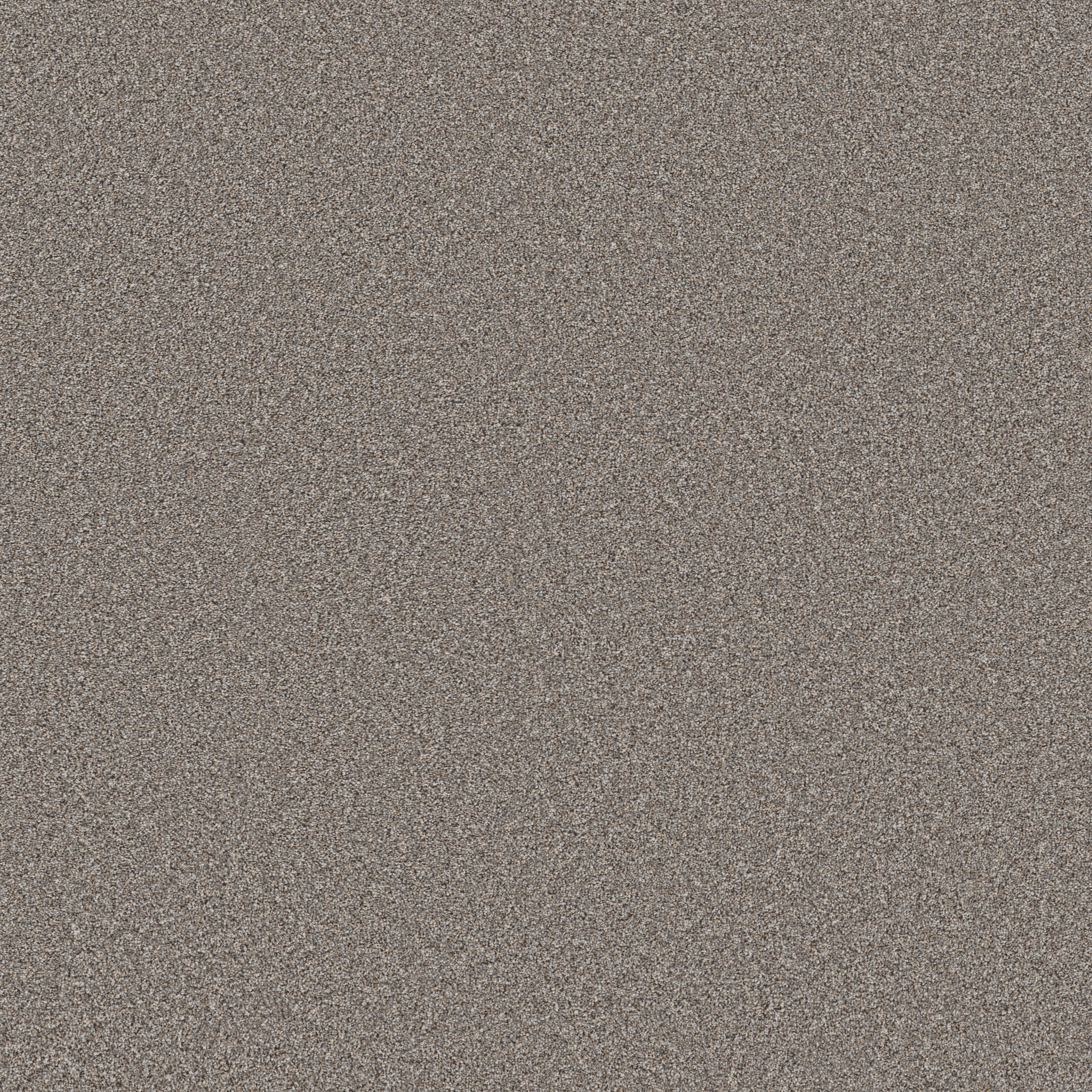 WONDERLAND III 12' PIER MAIN