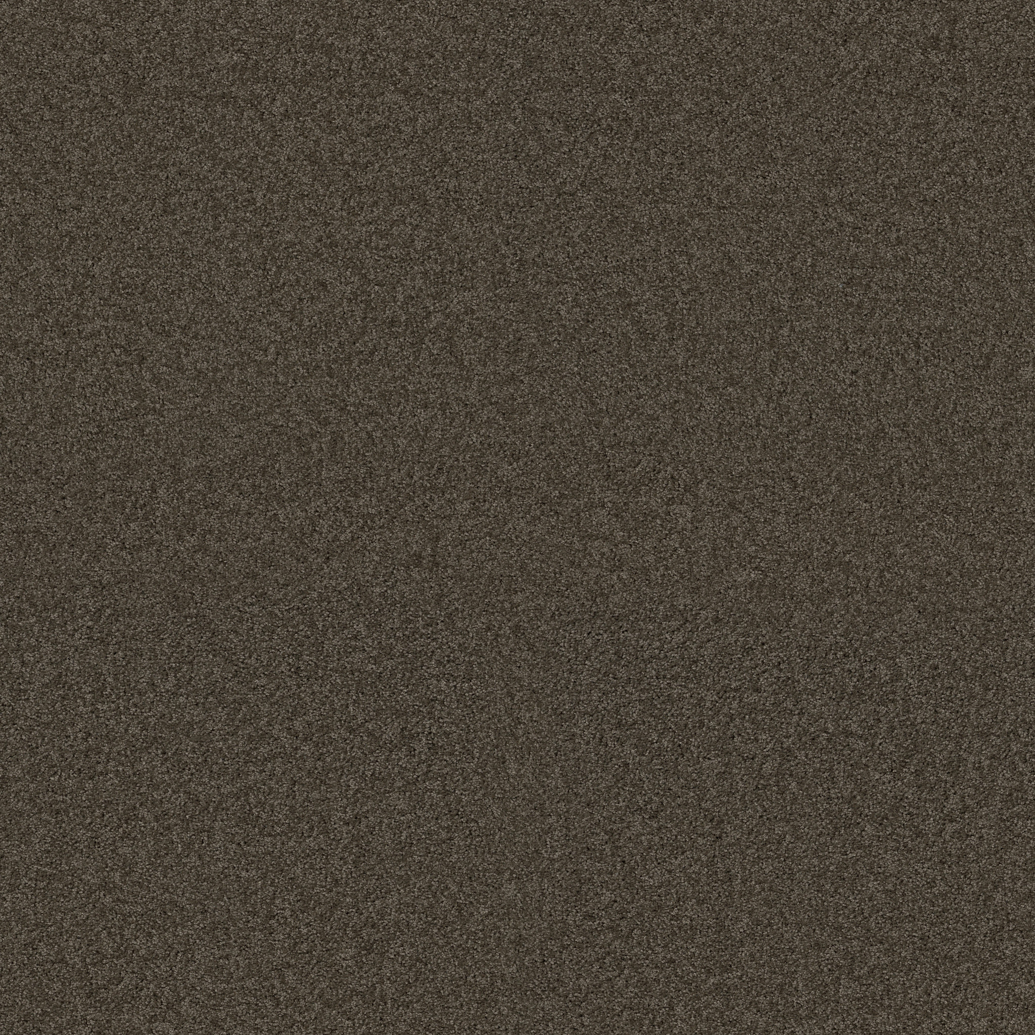 MY CHOICE I WEATHERED WOOD MAIN