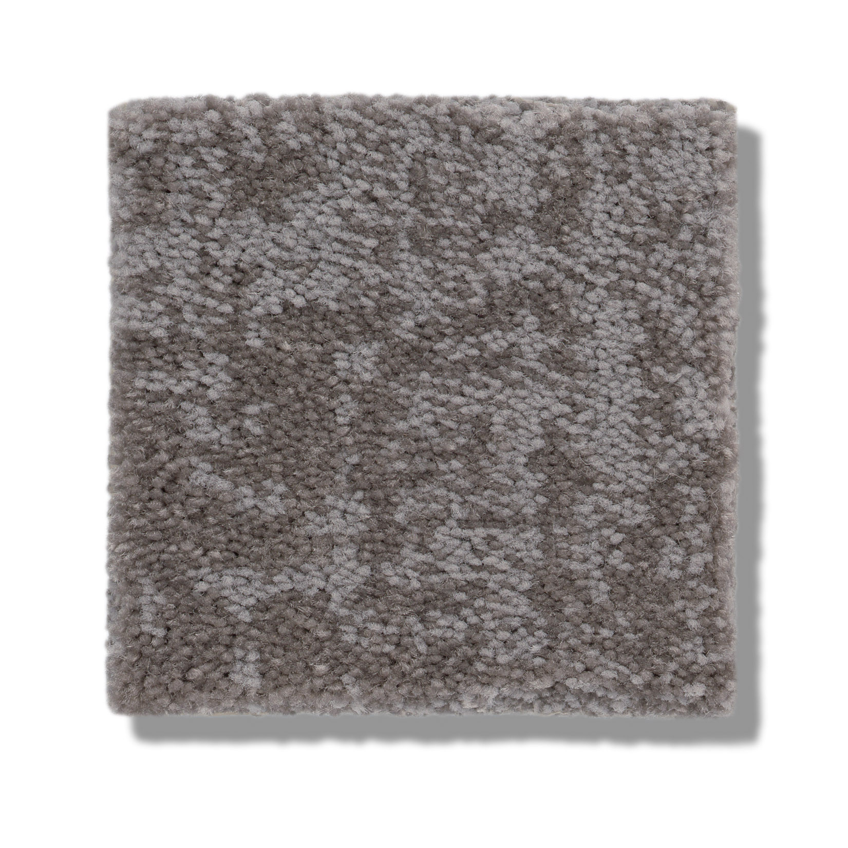 FINE STRUCTURE GROUNDED GRAY SWATCH
