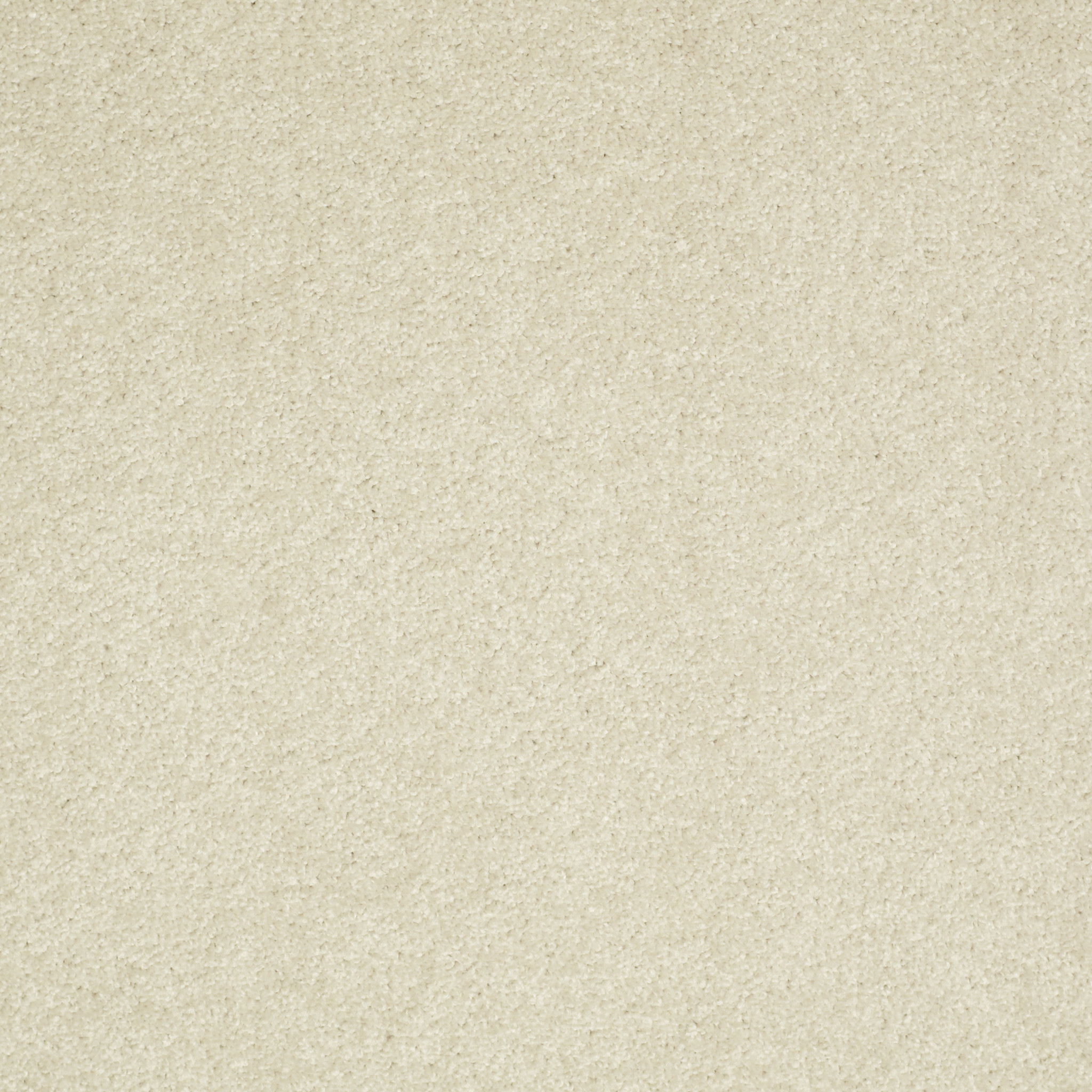 BEAUTIFULLY SIMPLE II 12 CREAMY TINT MAIN