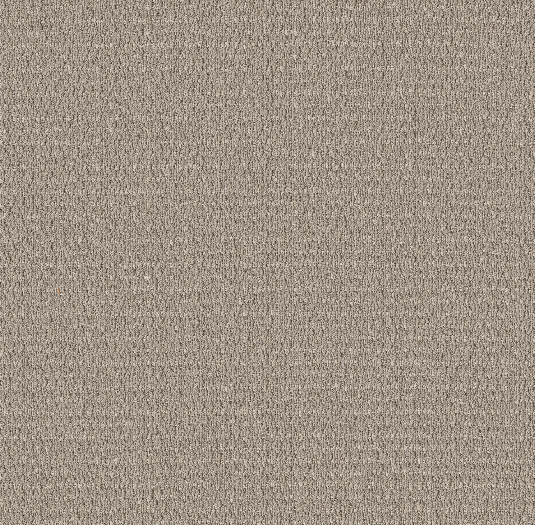 COZY EMBRACE WARM TAUPE MAIN