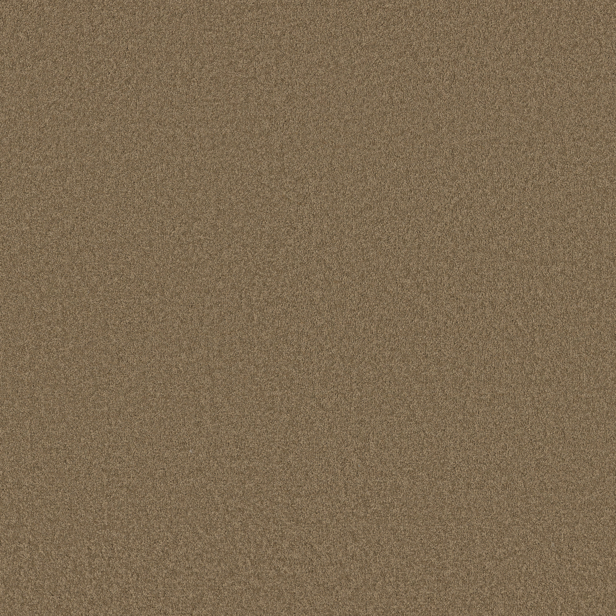 SANDY HOLLOW I 12' MOJAVE MAIN