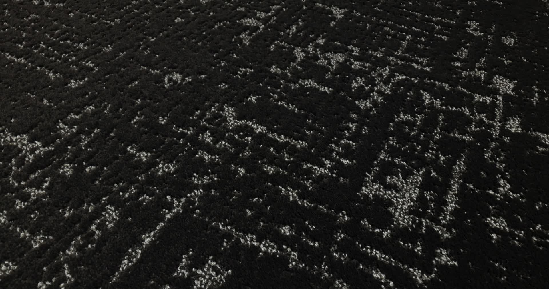 SINCERE FOCUS BISON 360PROD