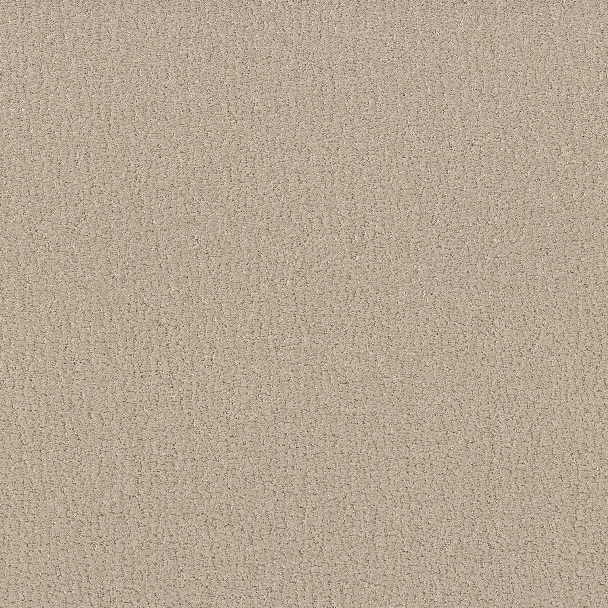 Beige textured carpet swatch for everyday comfort and easy maintenance