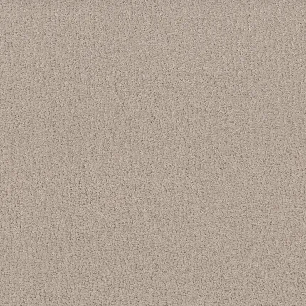 Durable beige carpet for a cozy home atmosphere Beige textured carpet swatch for everyday comfort and easy maintenance
