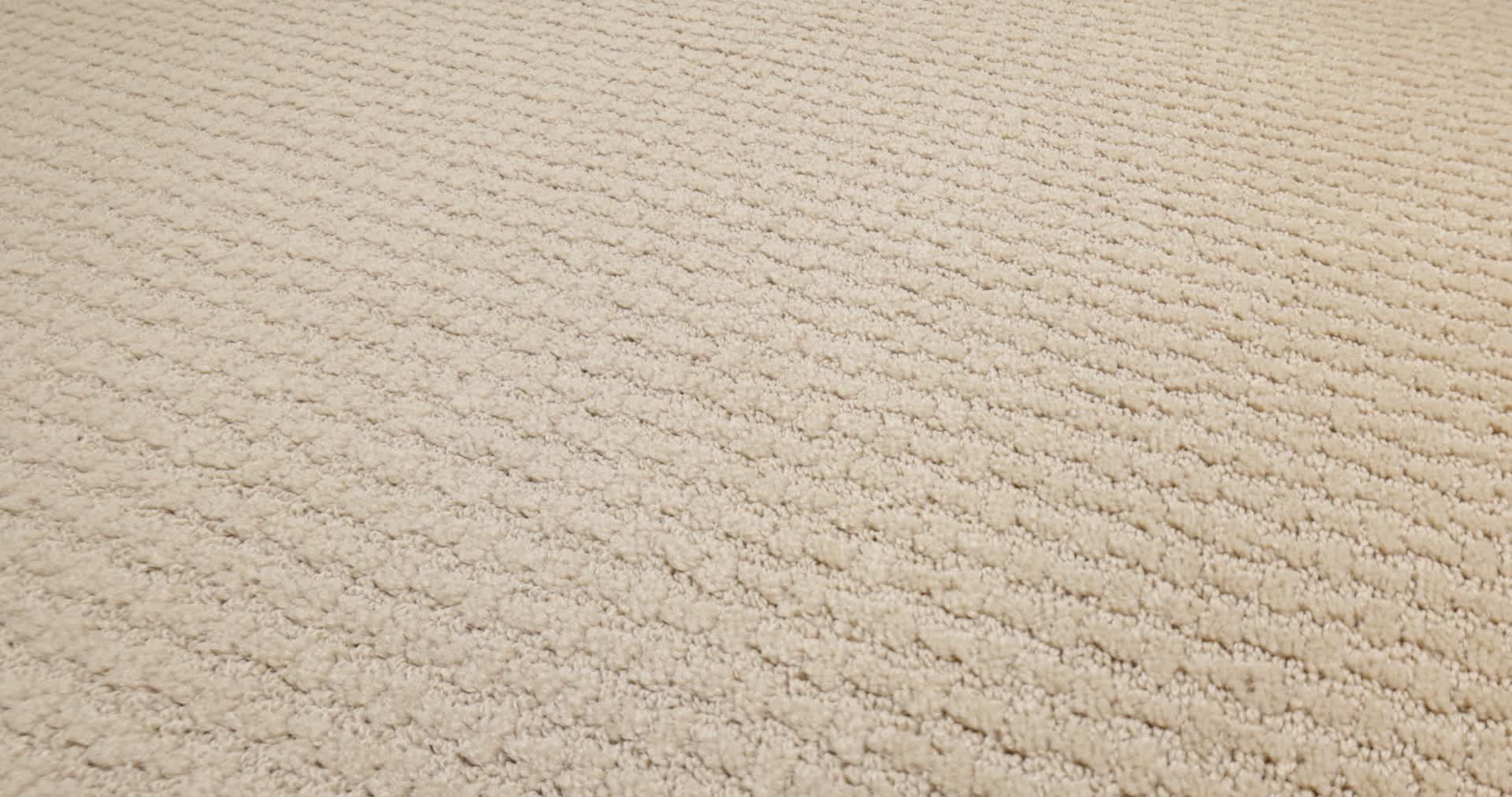 COMPLETE CONTROL SOFT HONEY 360PROD