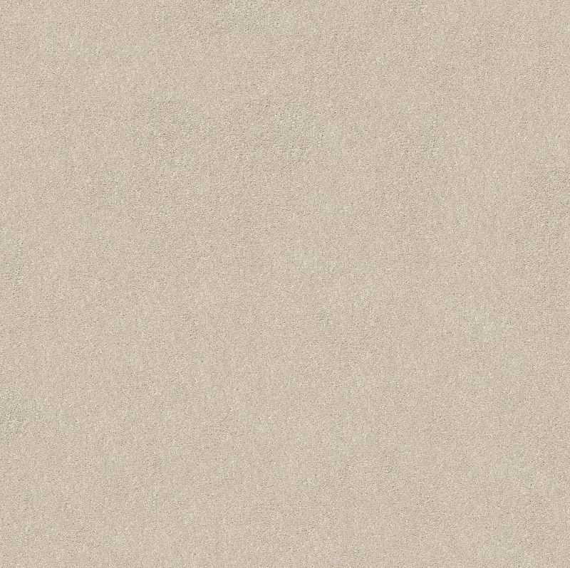 Smooth Talk I Broadloom Carpet in Silver Mist, 12ft width, 100% PET material