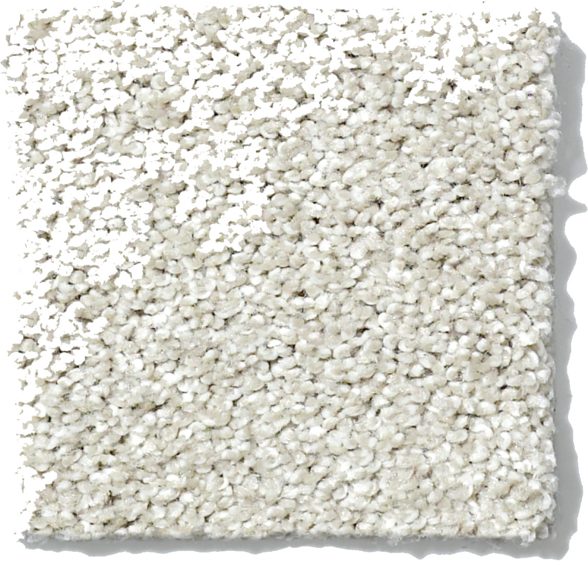 INSPIRING COLD WATER SWATCH