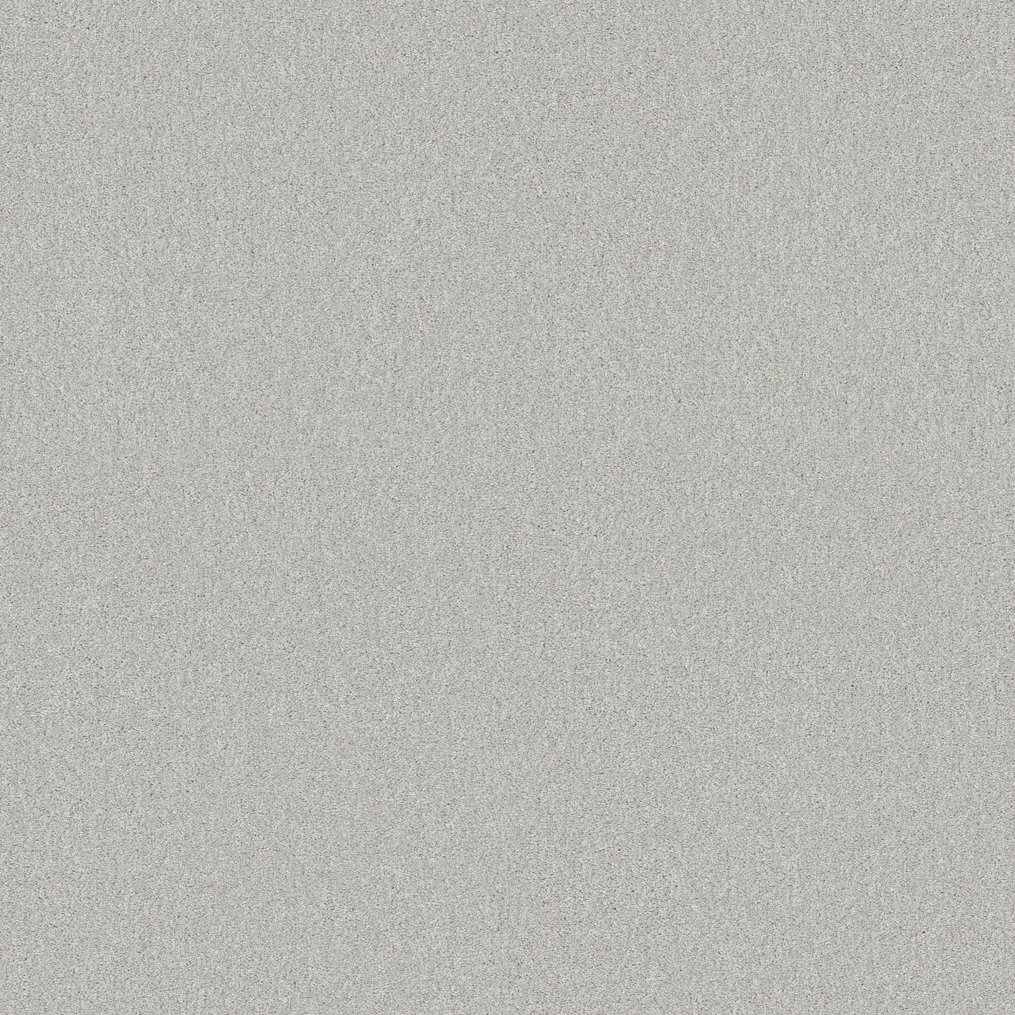 AG EXCEPTIONAL NICKEL MAIN