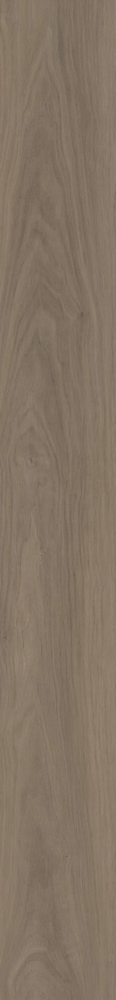 HOMEBOUND WOODLAND MIST 1TO1