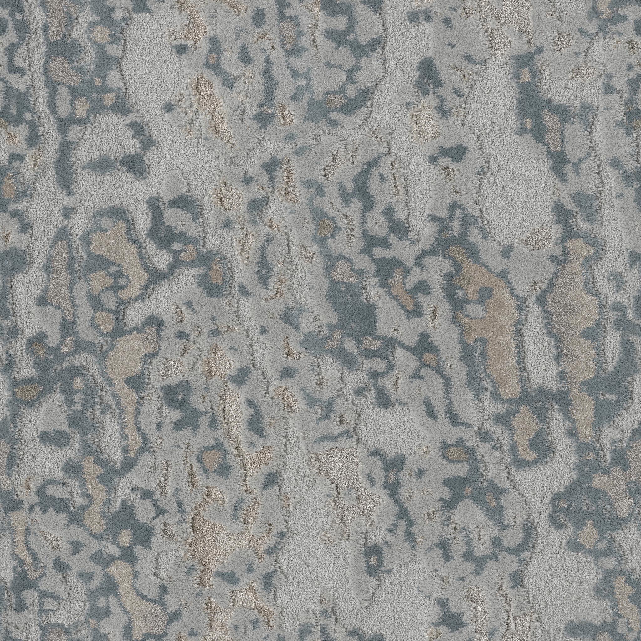 Carrera in Shoreline