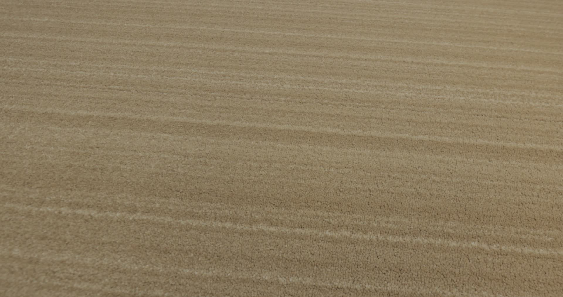 MAGNIFIQUE PALACE 360PROD