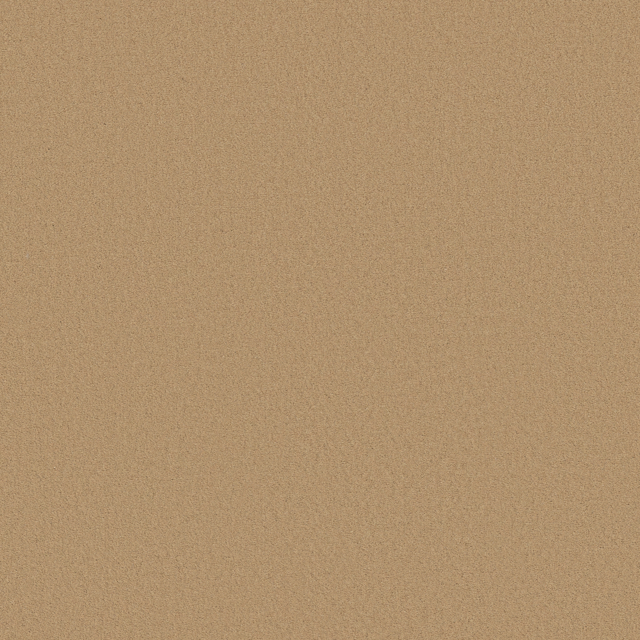 FINERY LAMP LIGHT MAIN