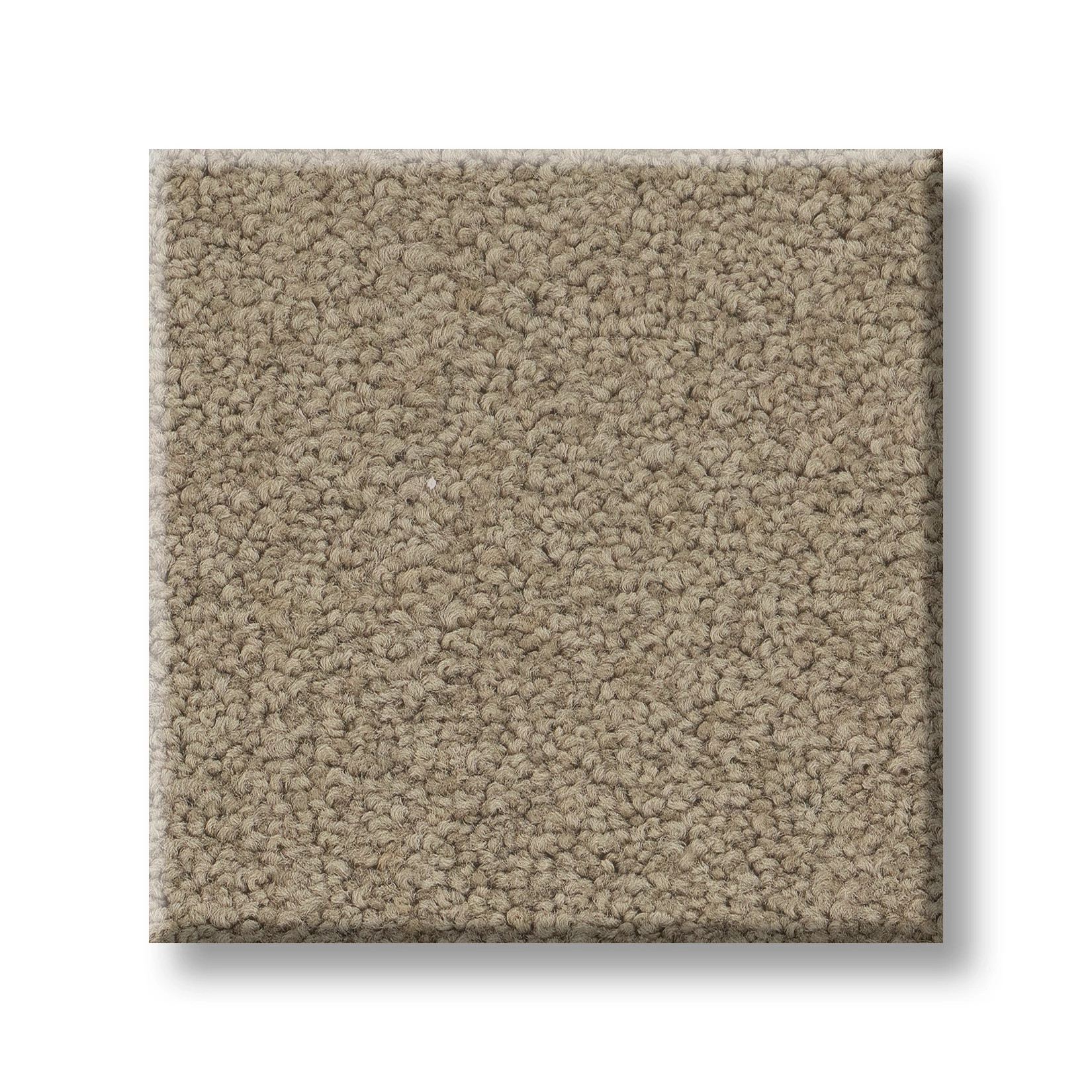 TIMELESS APPEAL III 12' SWEET CREAM SWATCH