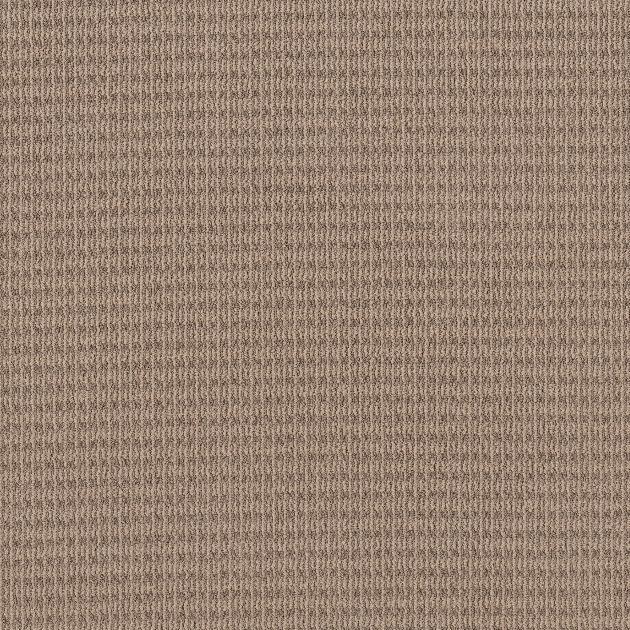 CHIC ELEVATION BEIGE BISQUE MAIN