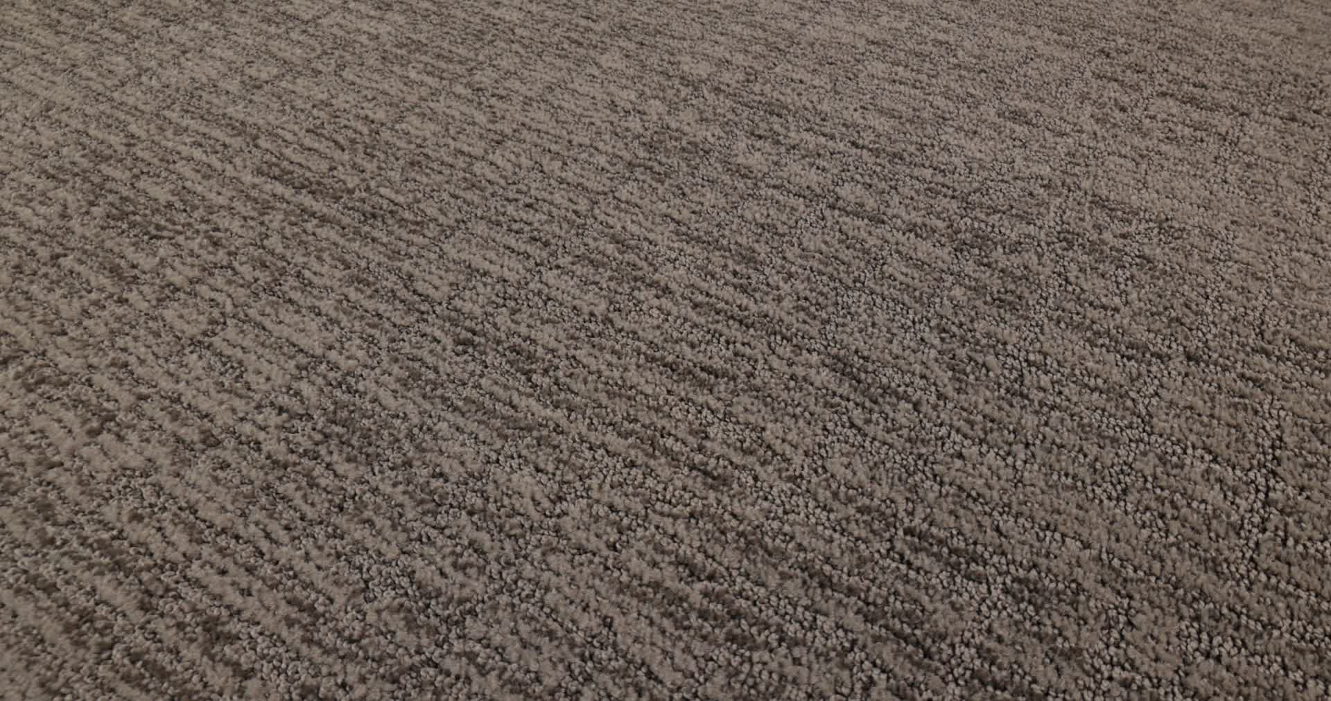 WANDERER PORTLAND 360PROD