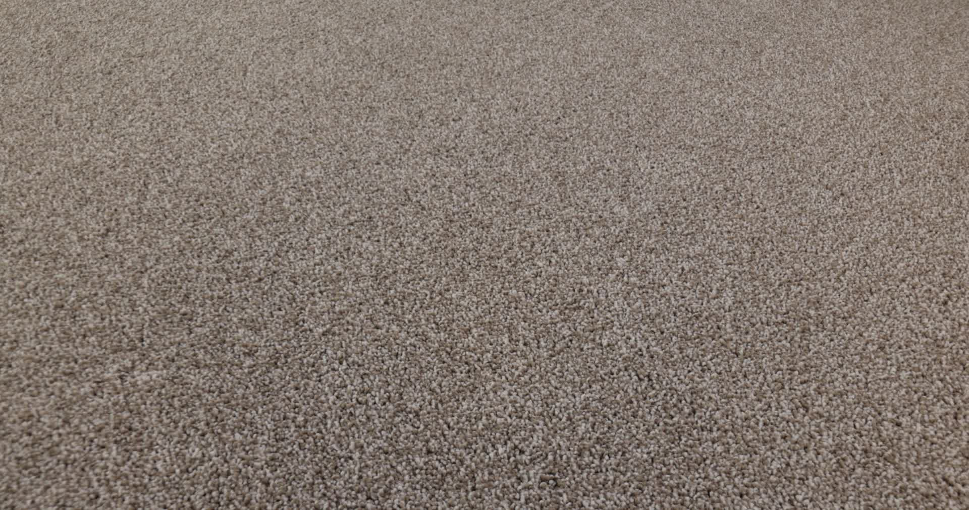 New Memories T - Mocha Carpet | Shaw Floors