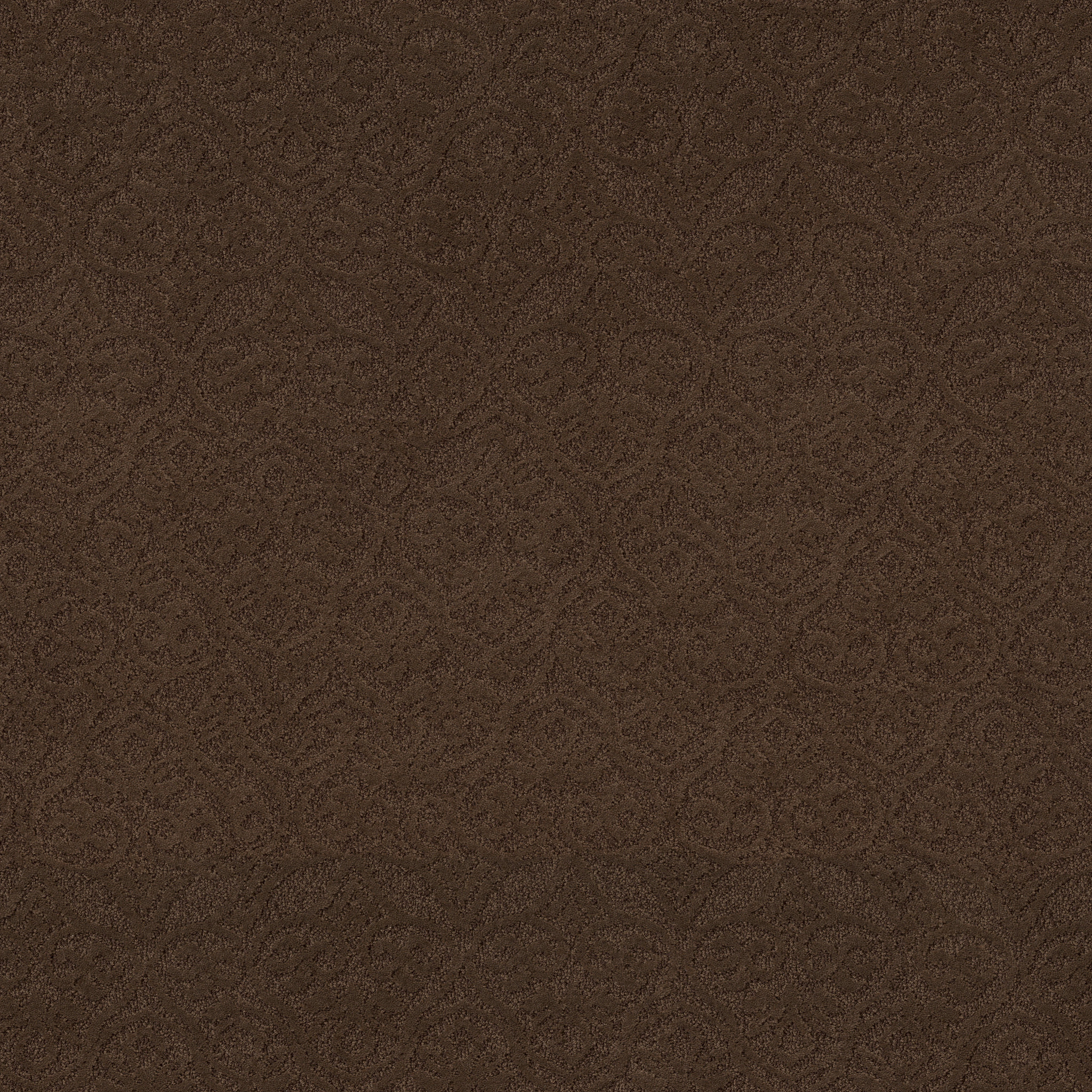 HEIRLOOM ATHENS BISON MAIN