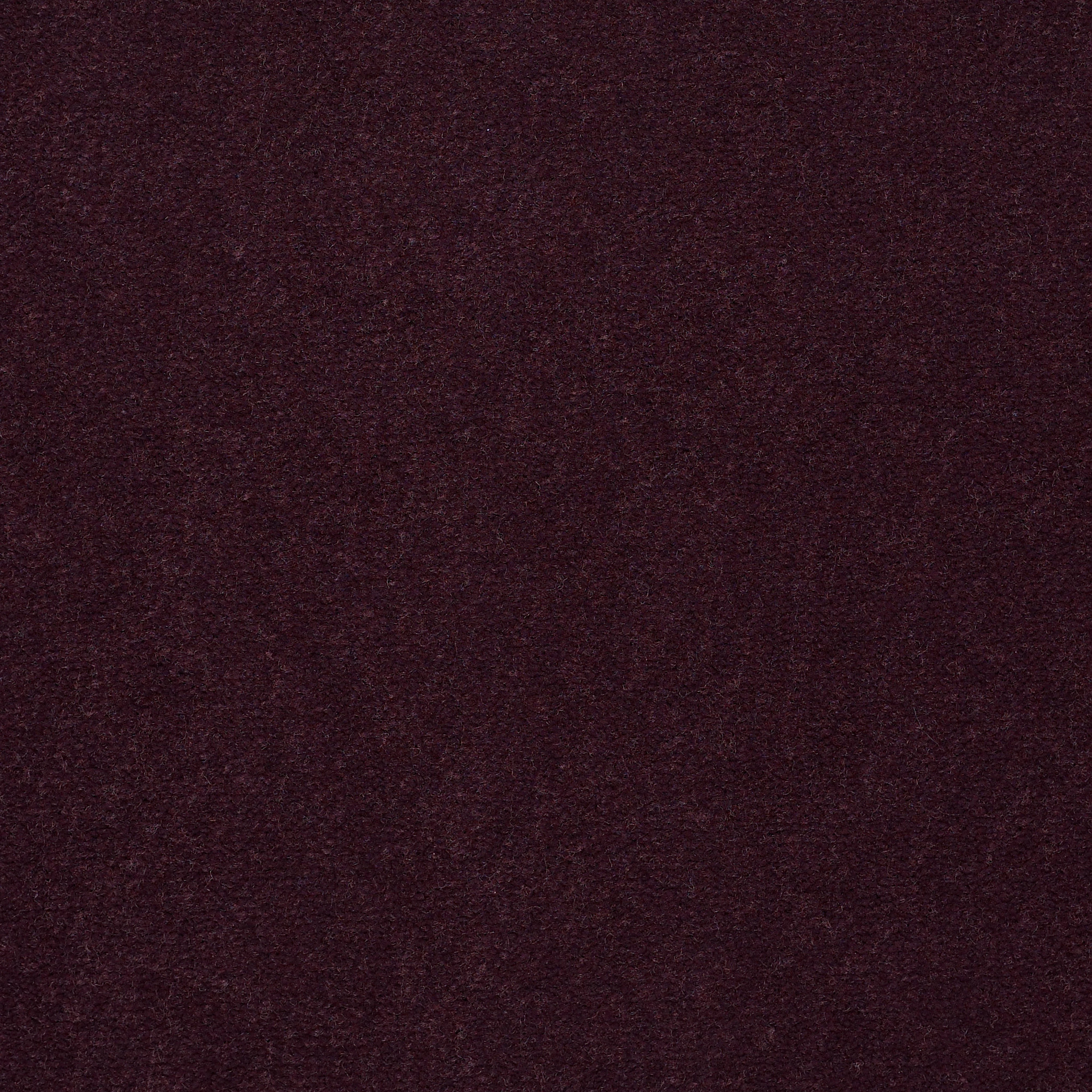 EMPHATIC-II-36-54256-PERFECT-PLUM-56995-main-image