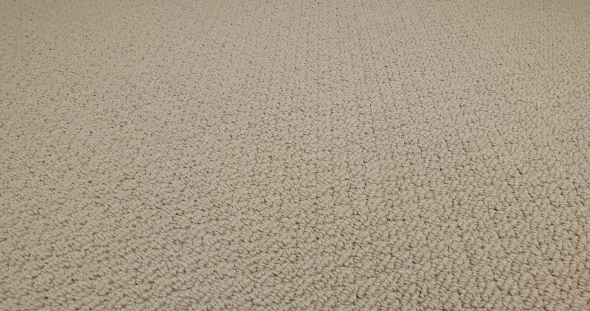 CHANNELING WHEAT 360PROD