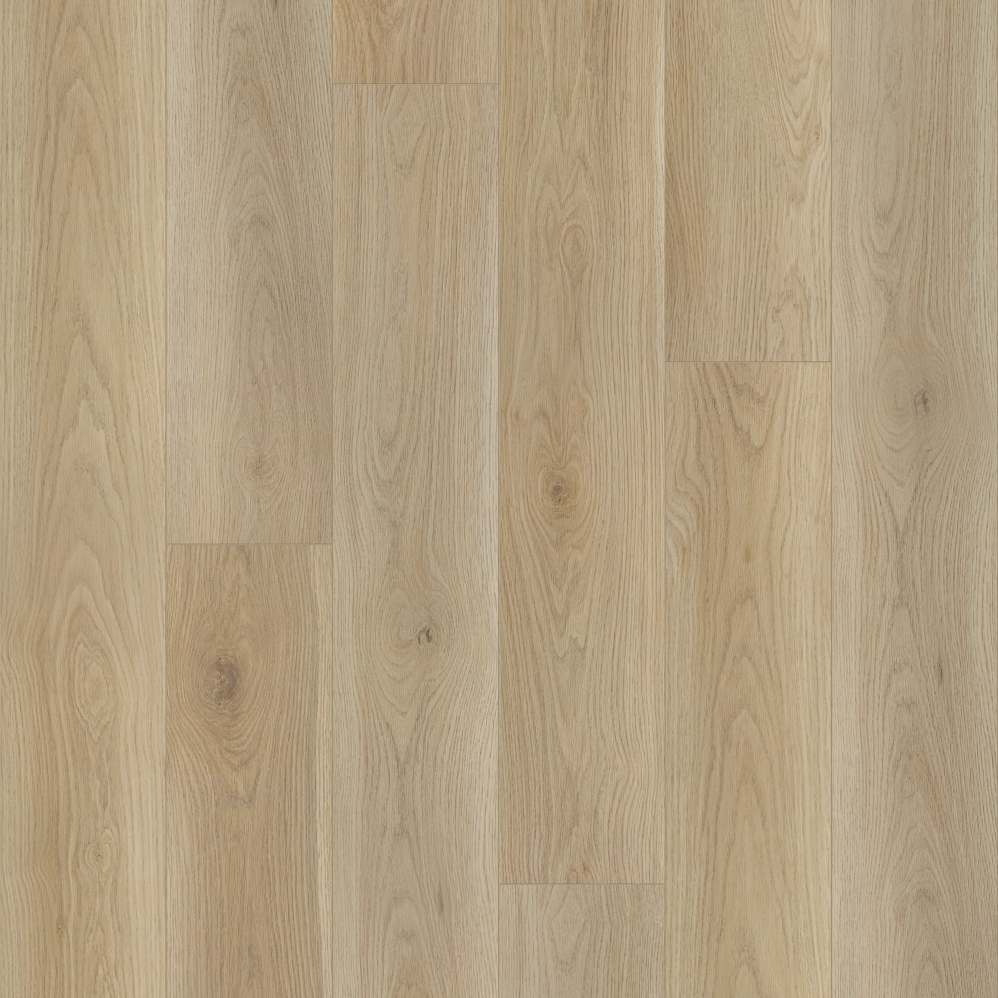 HOMEBOUND VANILLA CHAI MAIN