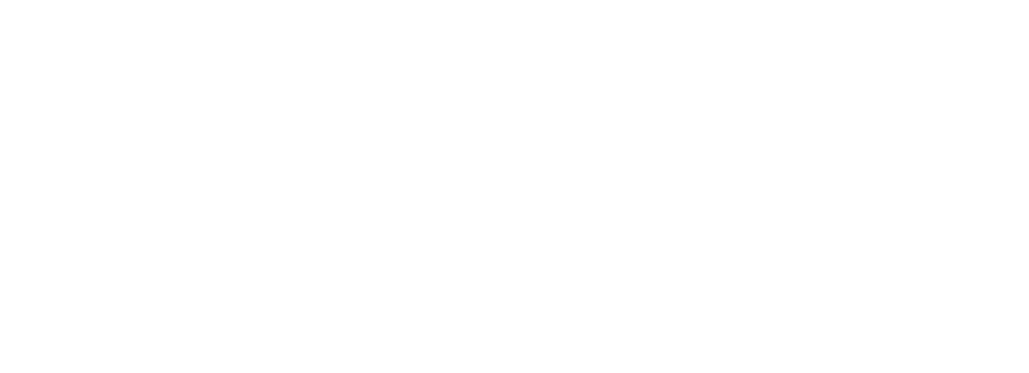 Zeftron Nylon Logo
