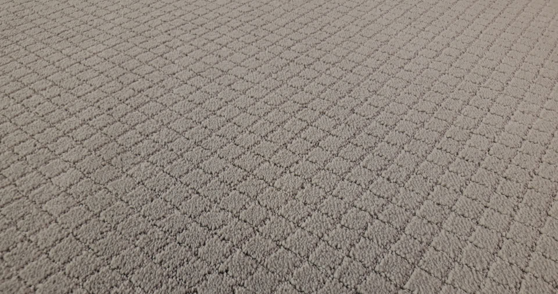 PAWNACHE SILVER FOX 360PROD