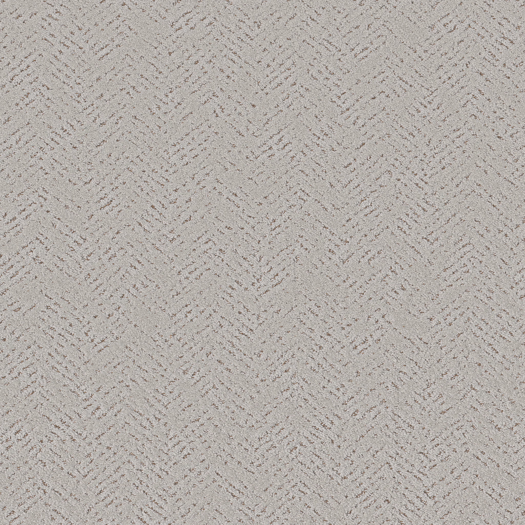 FAVOURED PATH CASHMERE MAIN