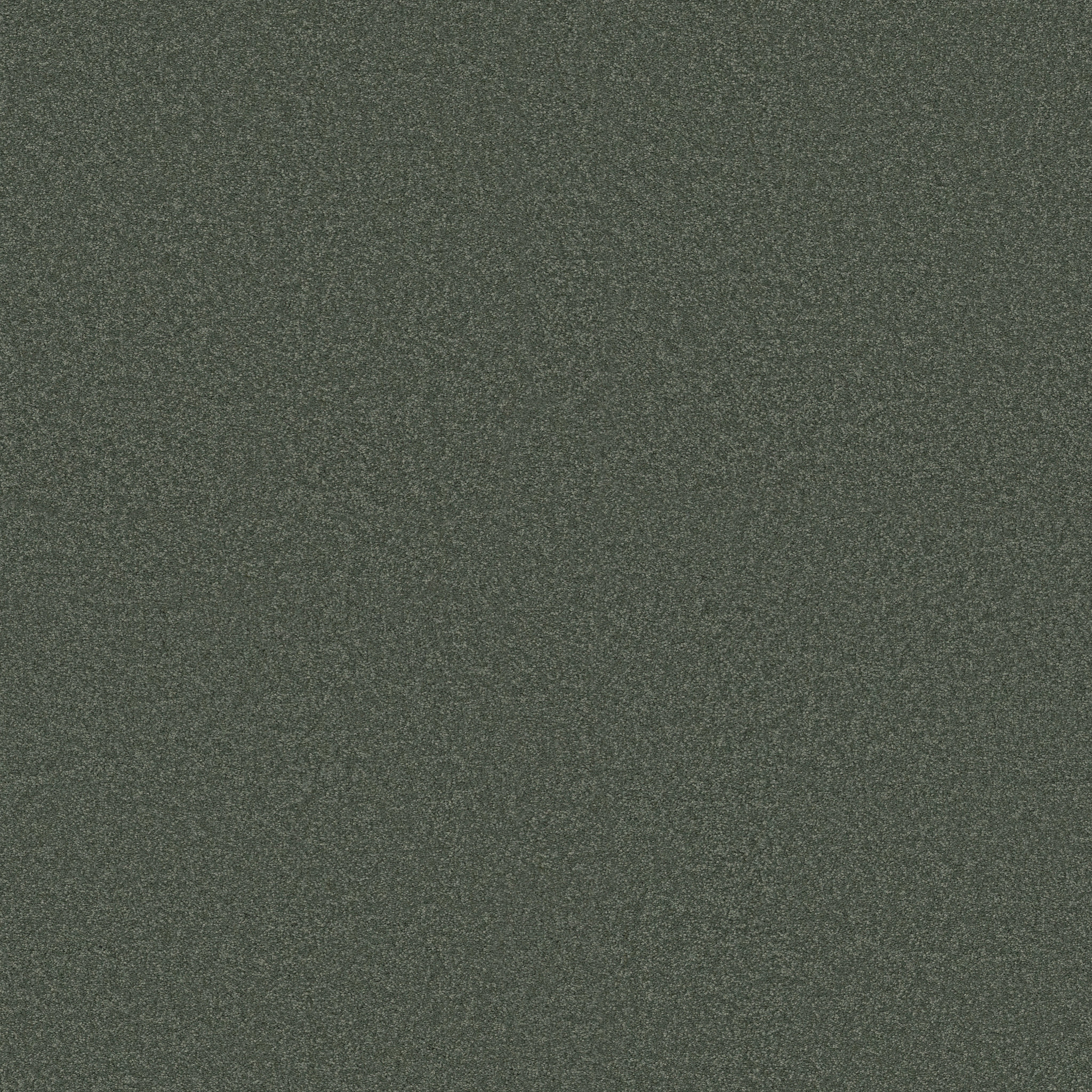 SHINGLE CREEK IV 15' BAHAMA BAY MAIN